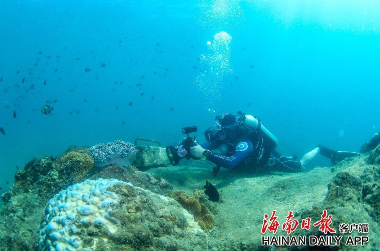 神秘的“神母”