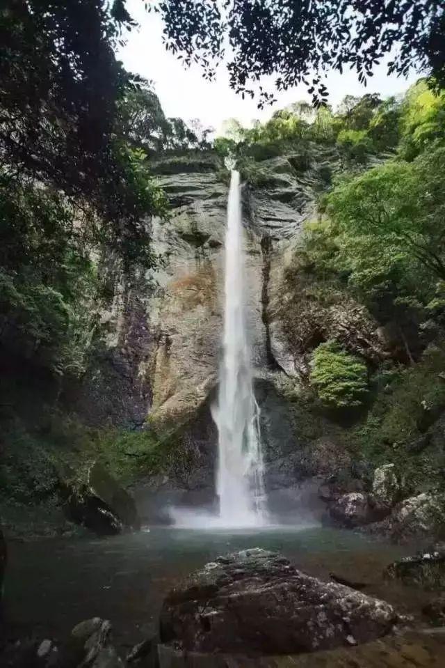 不朽星球